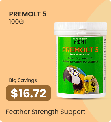 Big Savings – $16.72 - Feather Strength Support