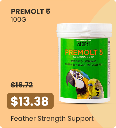 Économies importantes – 13,38 $ - Soutien Feather Strength