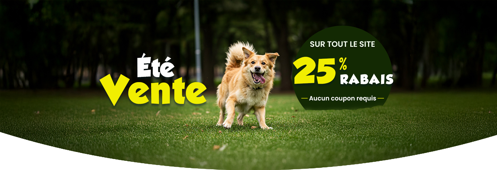 Bannière de vente