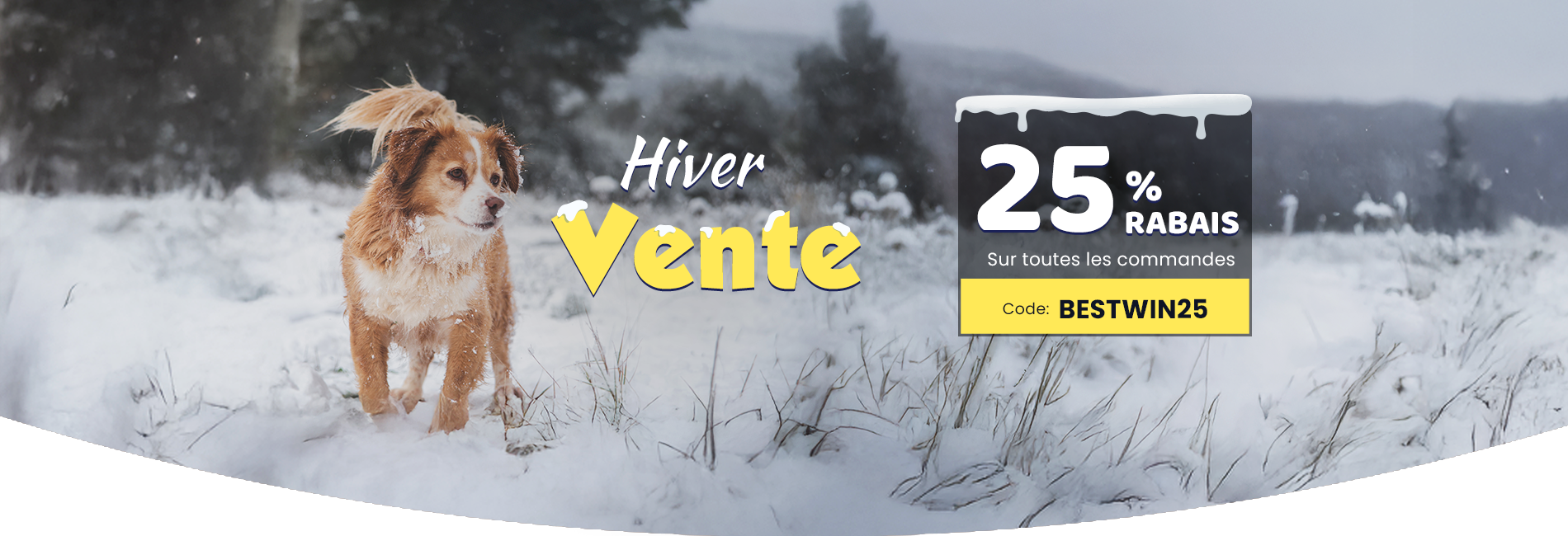 Soldes d'hiver