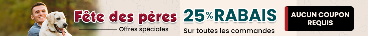Bannière de vente