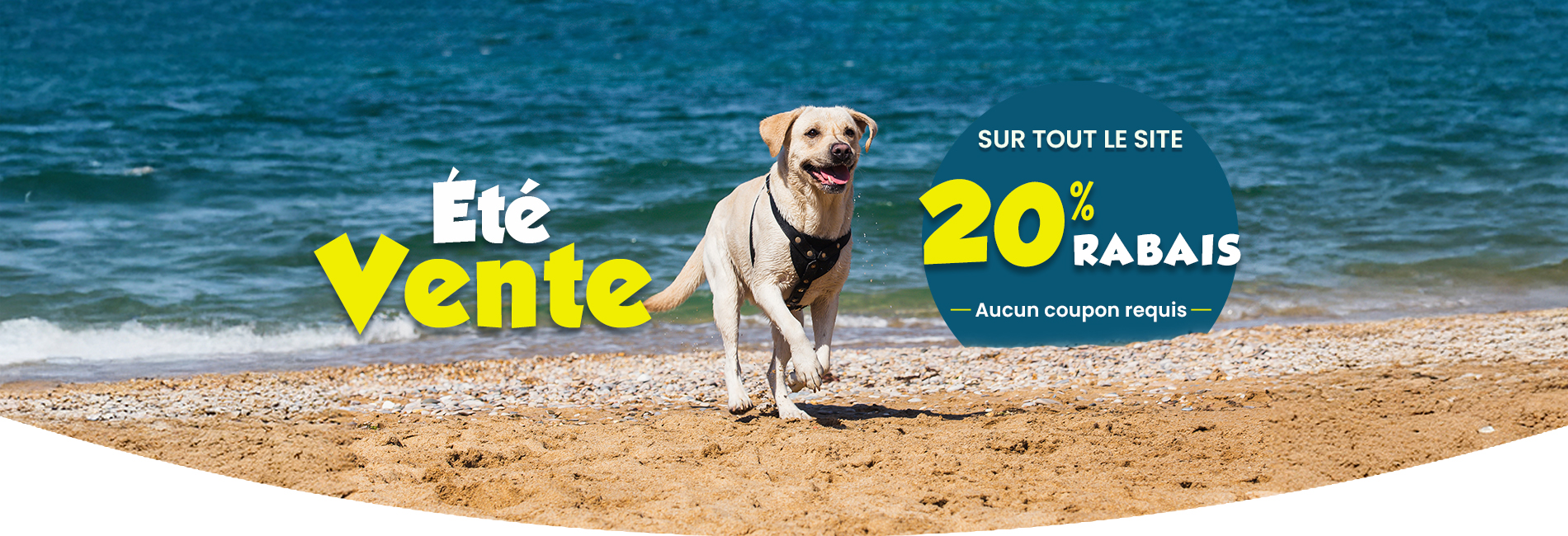 Bannière de vente